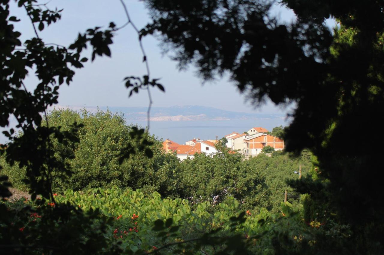 Apartments And Rooms With Parking Space Klenovica, Novi Vinodolski - 5590 ภายนอก รูปภาพ